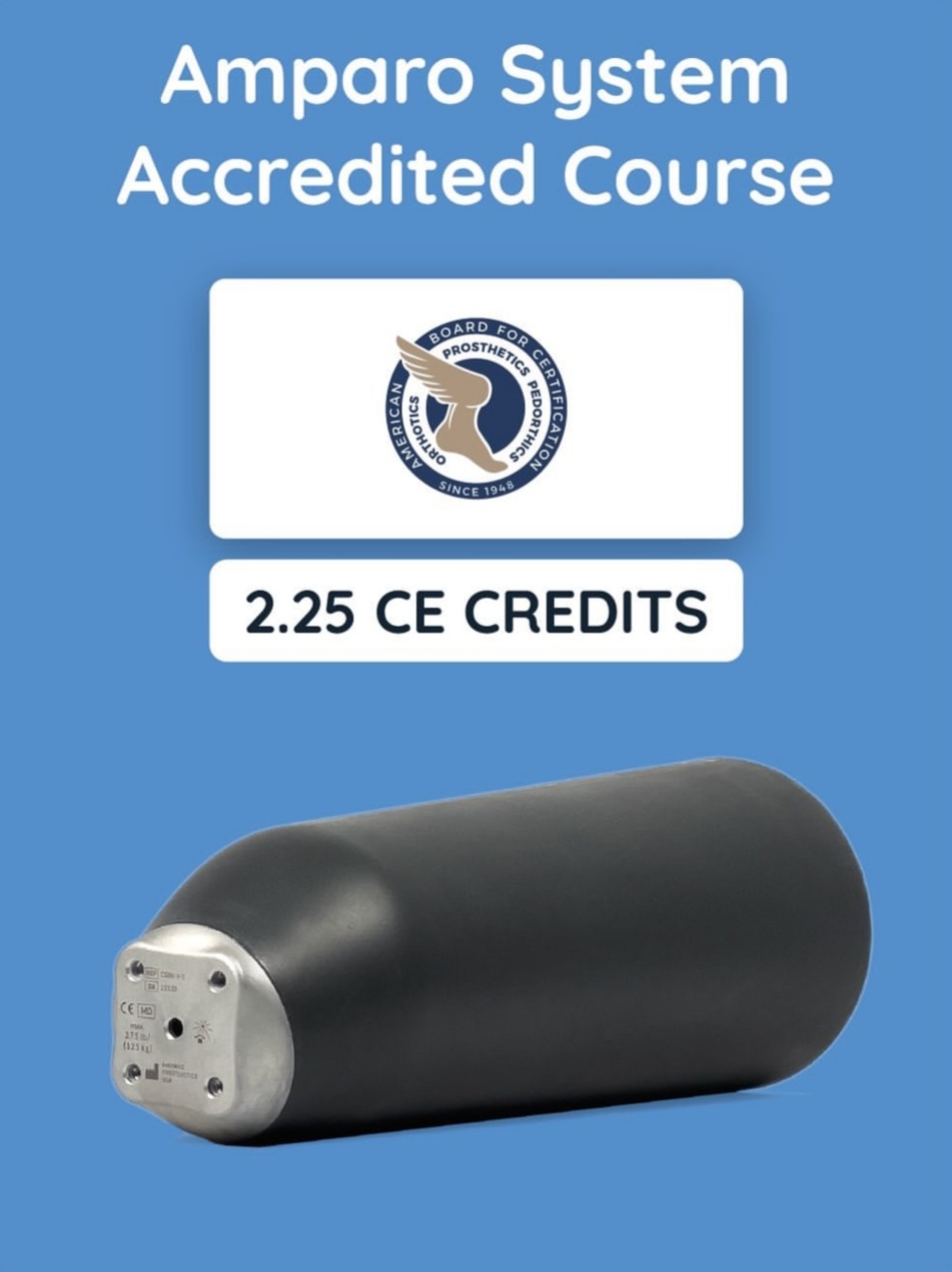 Amparo socket — rehabilitation use